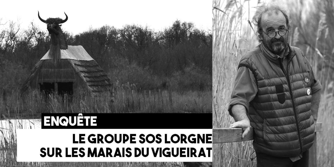 Marais du Vigueirat : le groupe SOS lorgne sur la gestion des espaces naturels