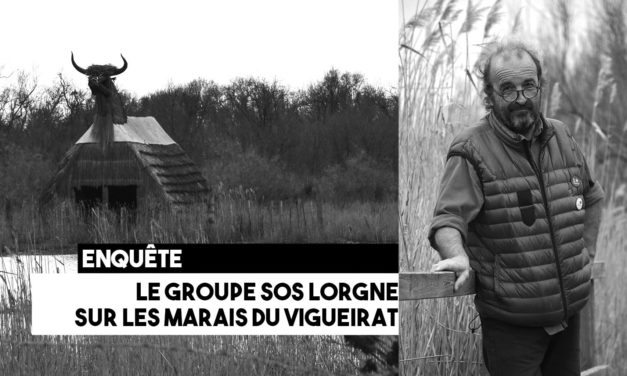 Marais du Vigueirat : le groupe SOS lorgne sur la gestion des espaces naturels