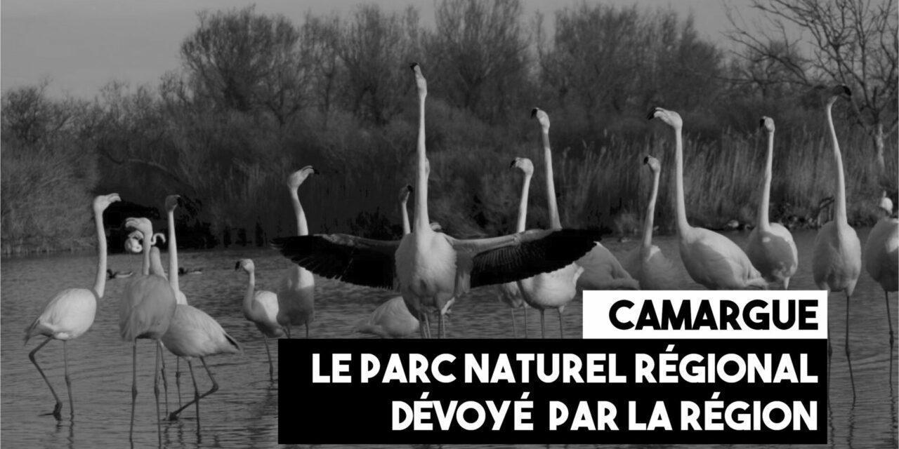 Camargue : un parc naturel régional dévoyé par Renaud Muselier