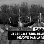 Camargue : un parc naturel régional dévoyé par Renaud Muselier