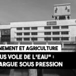 « On nous vole de l’eau » : au bout du Rhône, la Camargue sous pression