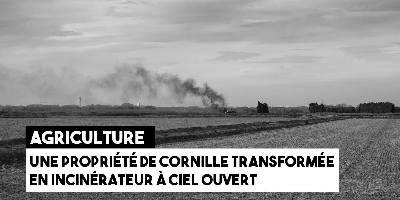 Agriculture : une propriété de Cornille transformée en incinérateur à ciel ouvert