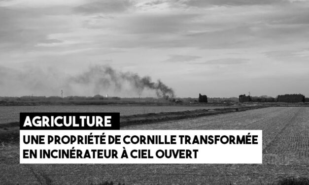 Agriculture : une propriété de Cornille transformée en incinérateur à ciel ouvert