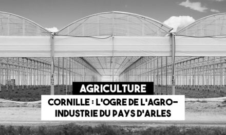 Didier Cornille,  l’ogre de l’agro-industrie du pays d’Arles