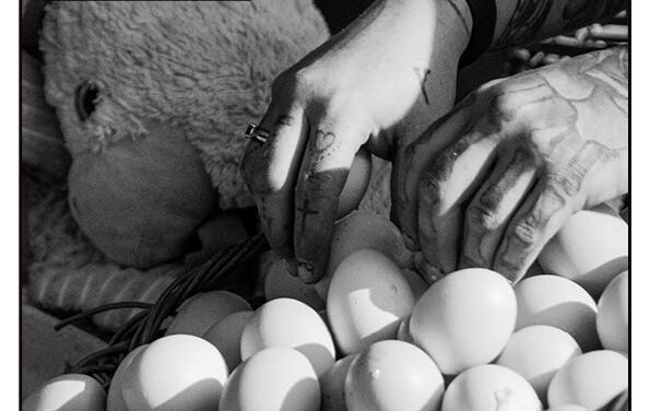 Dans le même panier – l’Arlésienne n°19 – printemps 2024 – PDF