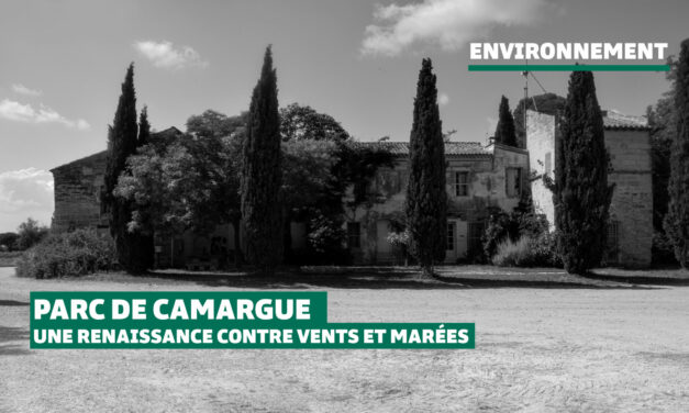 Parc de Camargue : une renaissance contre vents et marées